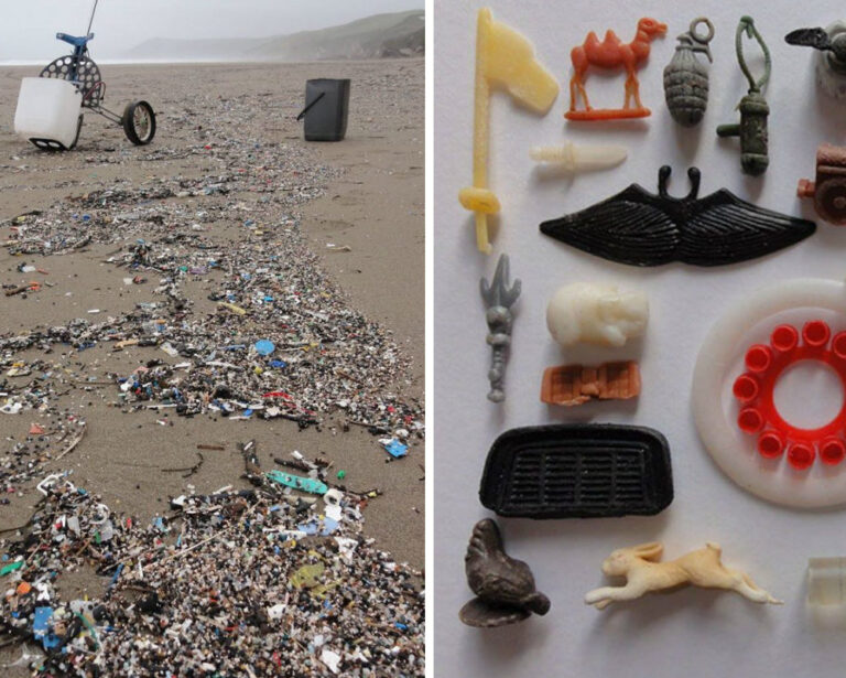 Kumsaldaki 35 Torba Plastik Çöpü Bir Günde Toplayarak Sanata Dönüştüren Adam